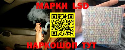 гидропоника Дубна