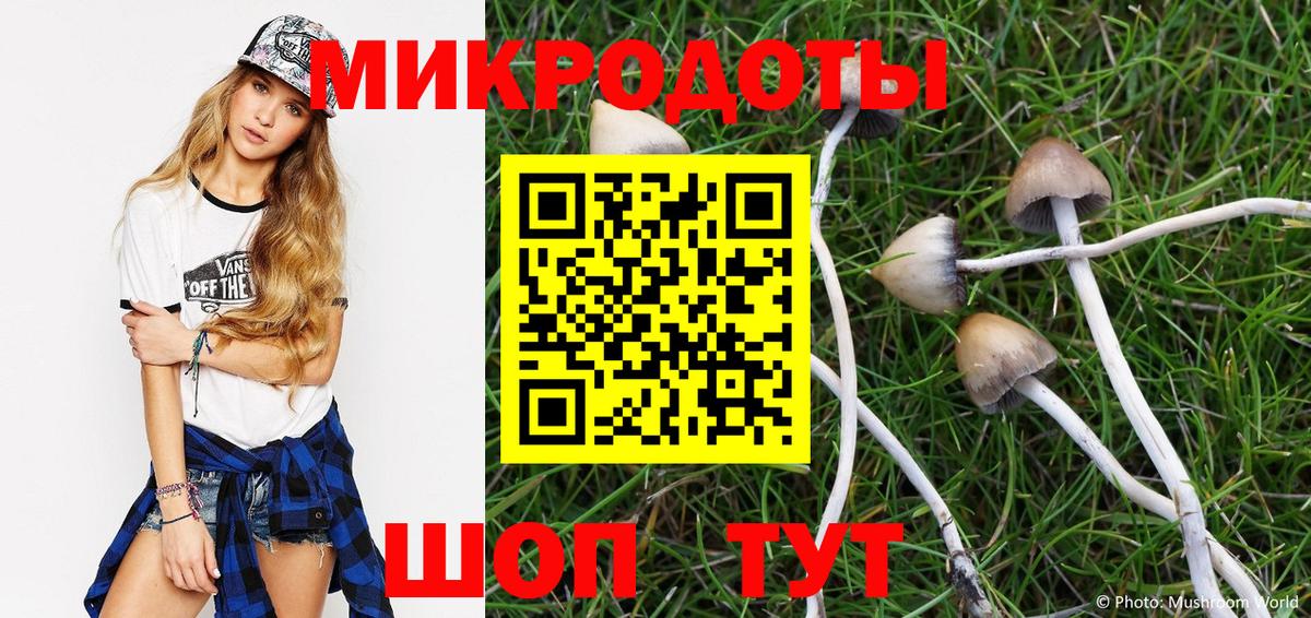 Псилоцибиновые грибы Psilocybe  Вход с VPN  Майкоп 